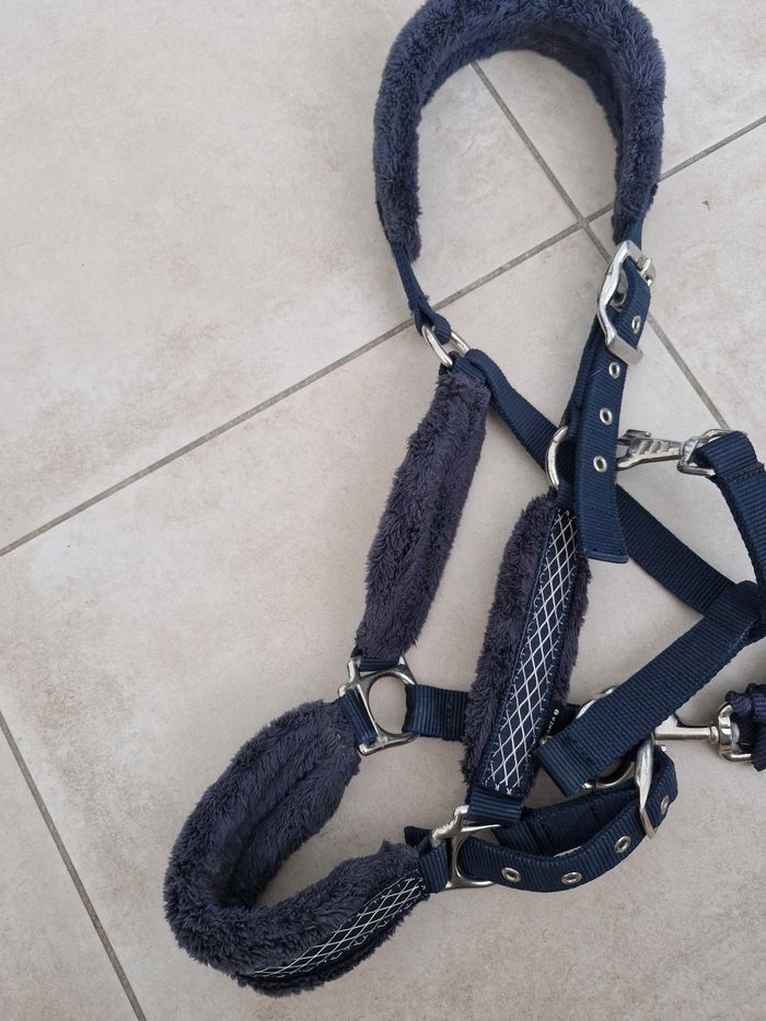 Licol cheval + longe fonganza
Bleu - photo numéro 2
