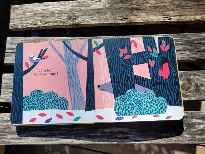 Très joli livre à volets, éditions Sarbacane, Et toi, où tu fais caca? (71) - photo numéro 11