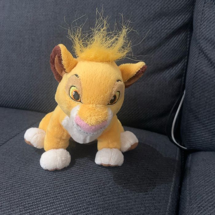 Roi lion
