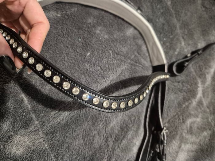 Double Bride dressage kavalkade - photo numéro 6