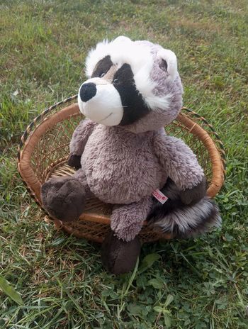 Peluche neuve raton-laveur