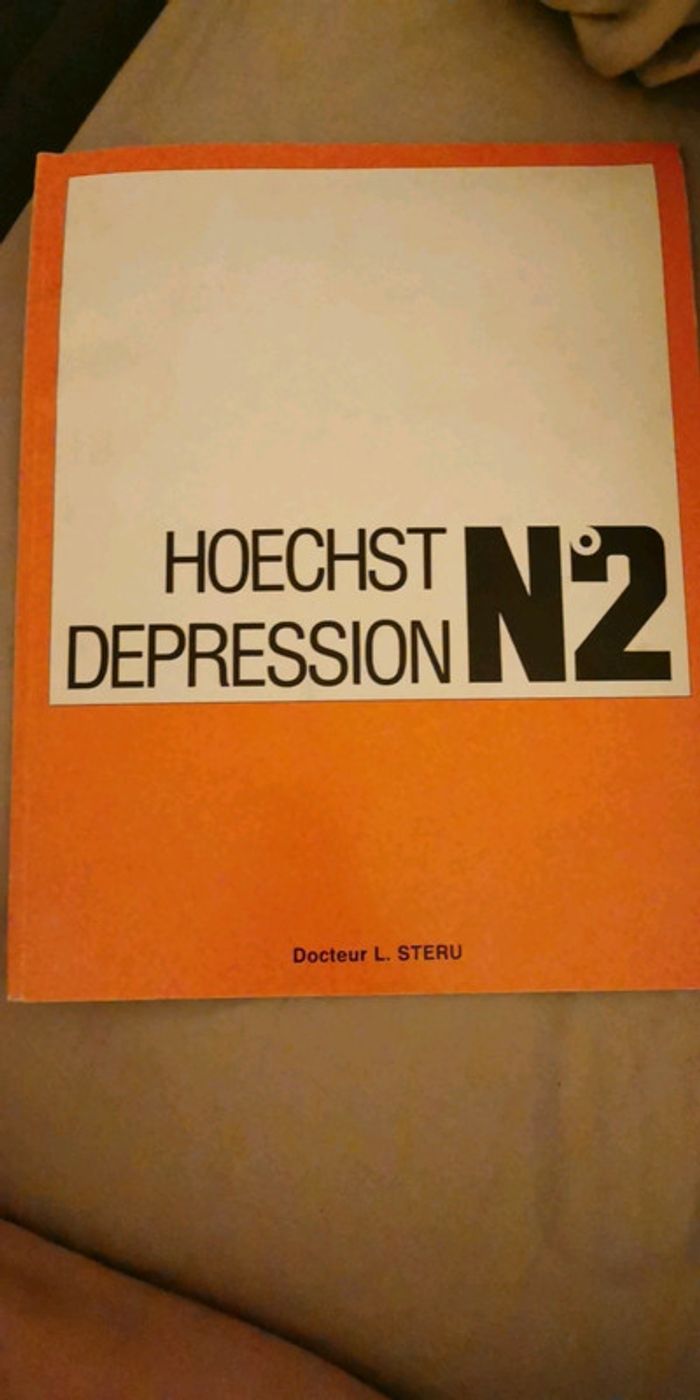 Hoechst depression Docteur L Steru - photo numéro 2
