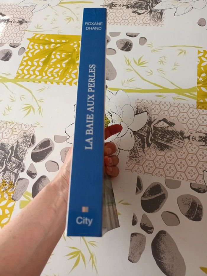 Livre : La baie aux perles de Roxane Dhand - photo numéro 6