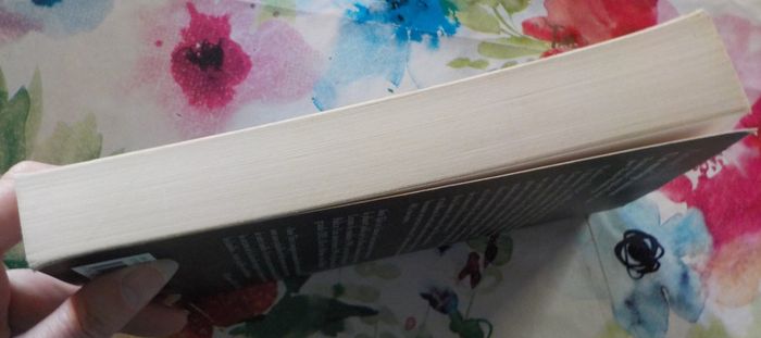 UN MARIAGE AMATEUR de Anne TYLER Ed. Calmann-Lévy - photo numéro 5