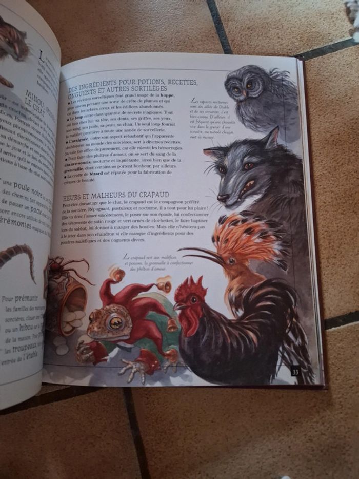 Sorcières et autres jeteuses de sorts - photo numéro 8