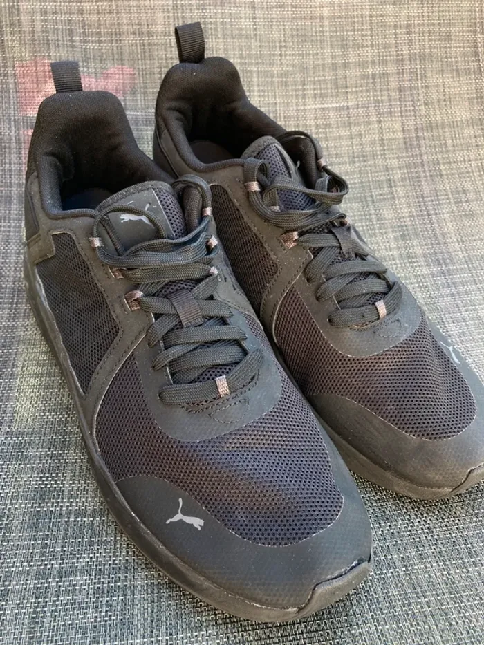Basket puma