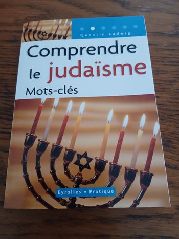 Comprendre le judaïsme 