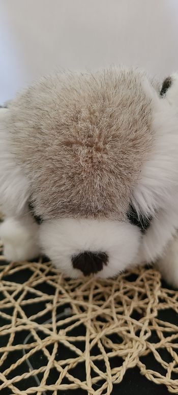 peluche Anima'- Raton laveur