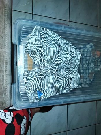 Short bébé garçon adidas