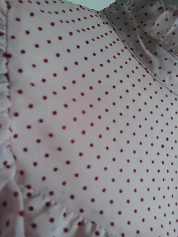Chemisier chemise blouse romantique volant froufrou lolita Zara printemps - photo numéro 3
