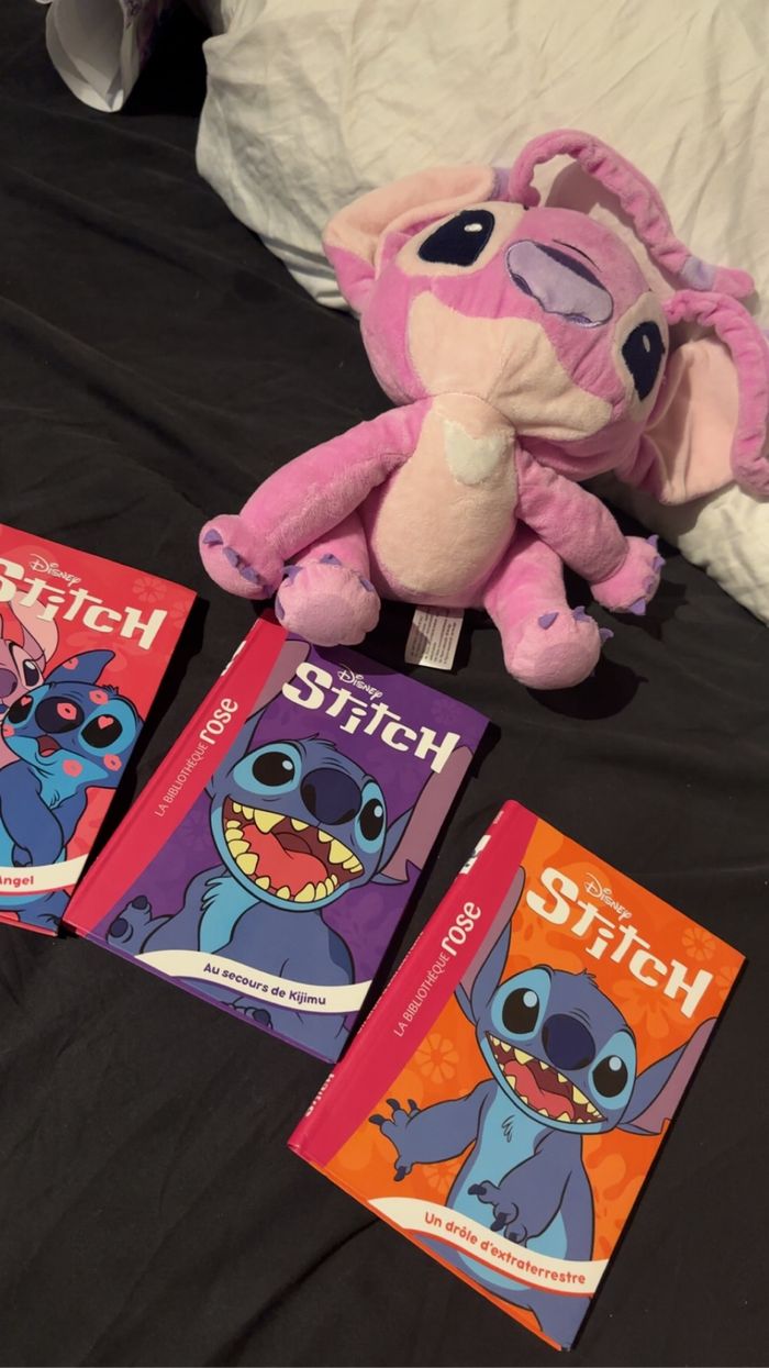 Lot stitch - photo numéro 2
