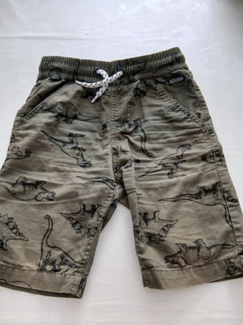 Short motif dinosaure