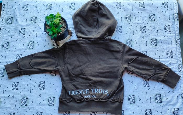 Veste à capuche taille 2/3 ans - photo numéro 3