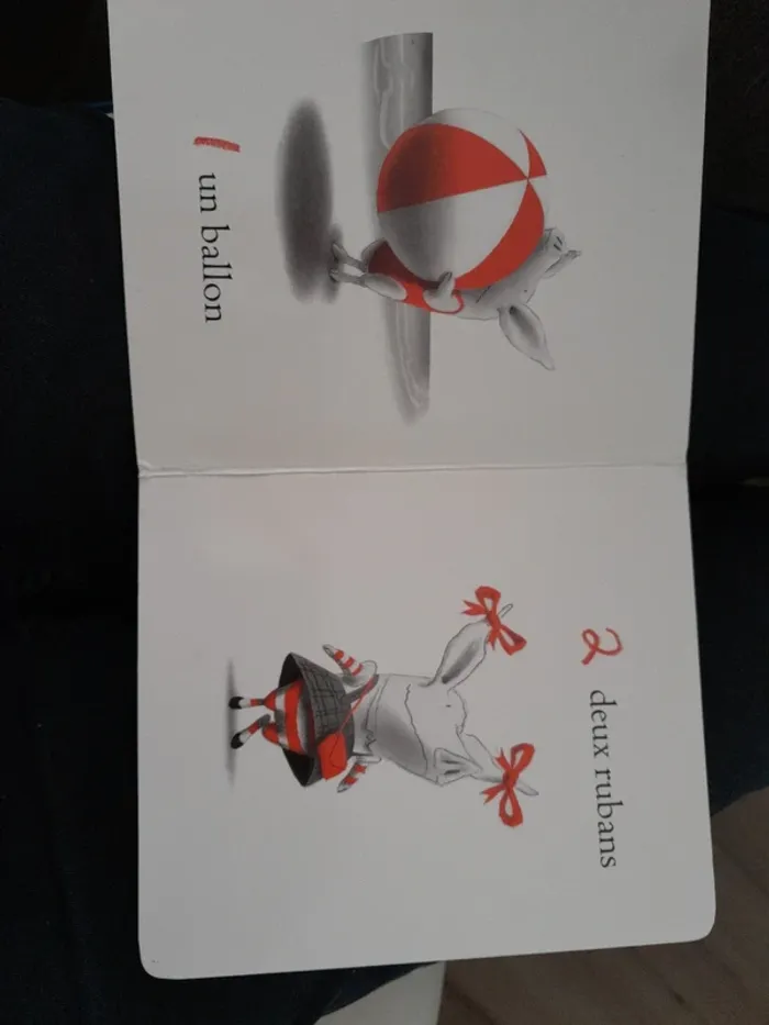 2 livres "Olivia" - photo numéro 10