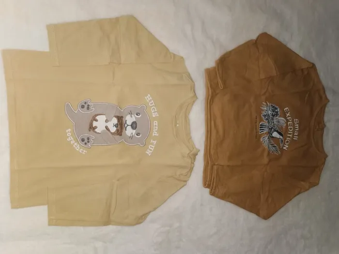 Lot de 2 tee-shirts manches longues Taille 36 mois