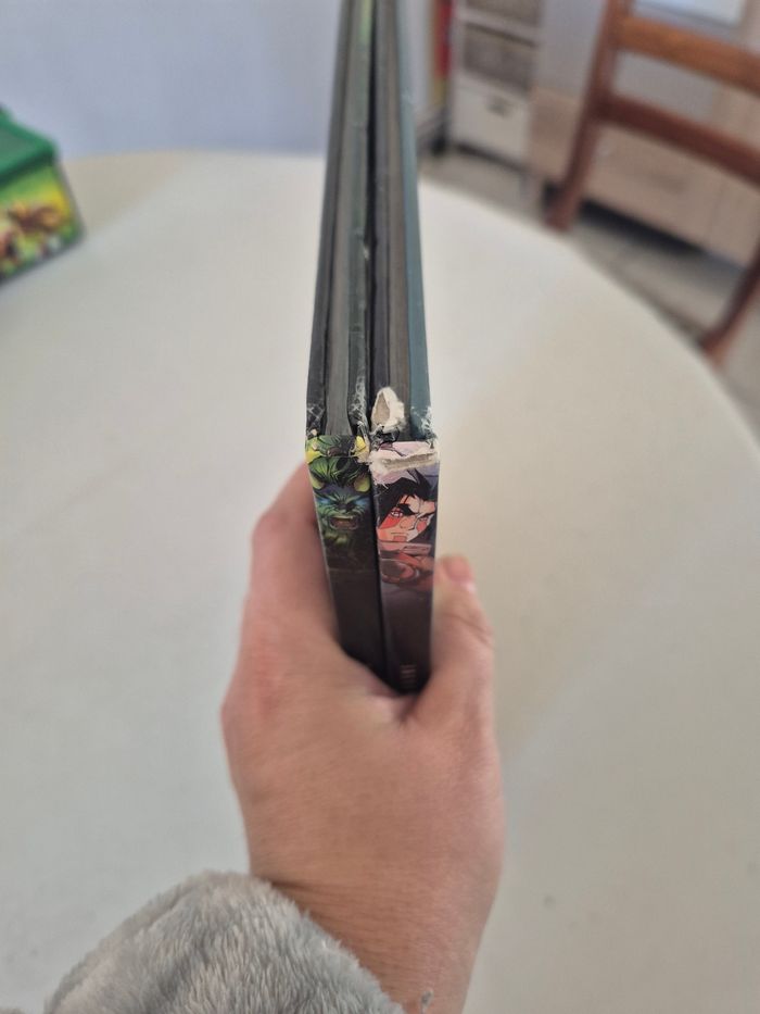 2 bd world of warcraft - photo numéro 3