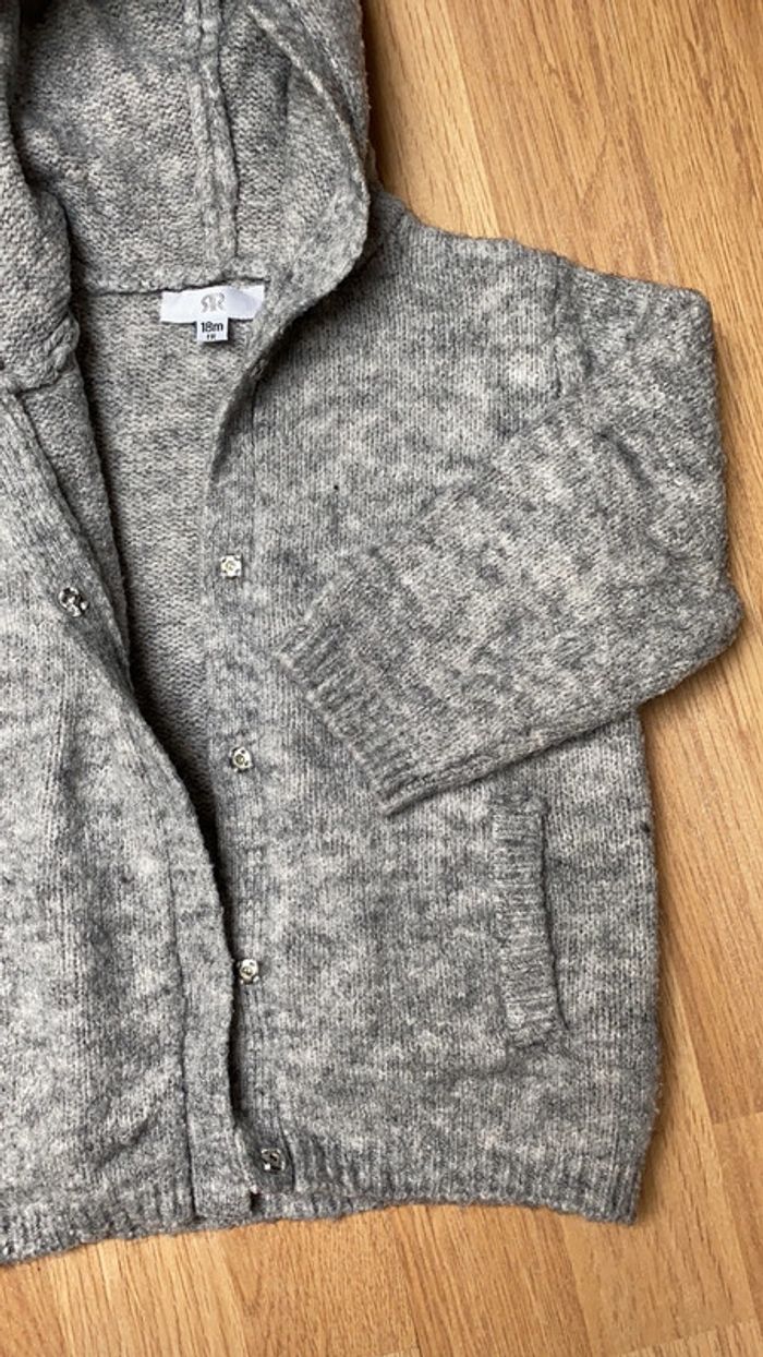 Gilet gris - photo numéro 2