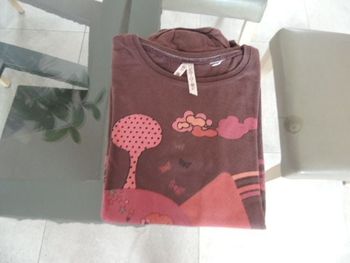 Tee shirt manches longues fille okaïdi 10 ans