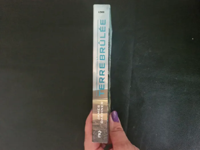 L'épreuve - Tome 2 - La Terre Brûlée - James Dashner