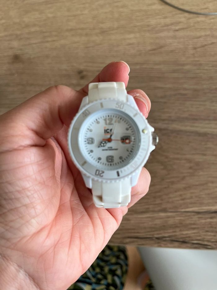 Montre ice