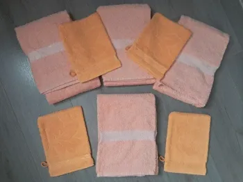 Lot de 4 serviettes + 4 gants Neuf