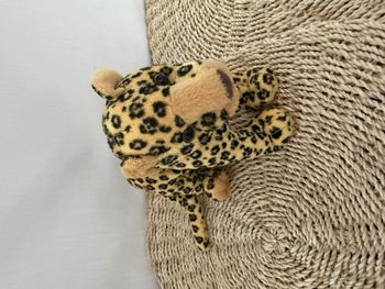 Peluche léopard born in  africa