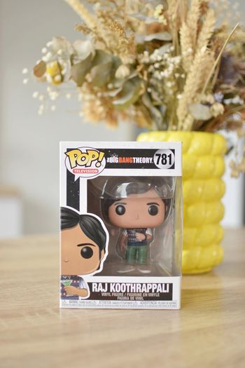 Figurine Pop Raj Koothrappali
