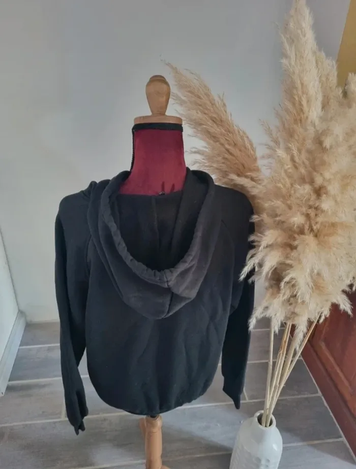 Sweat à capuche homme ou ado 🚹 36 - photo numéro 4
