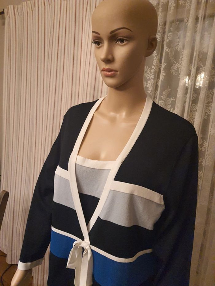Blouse/ Pull Mayerline taille 2L 44 - photo numéro 8