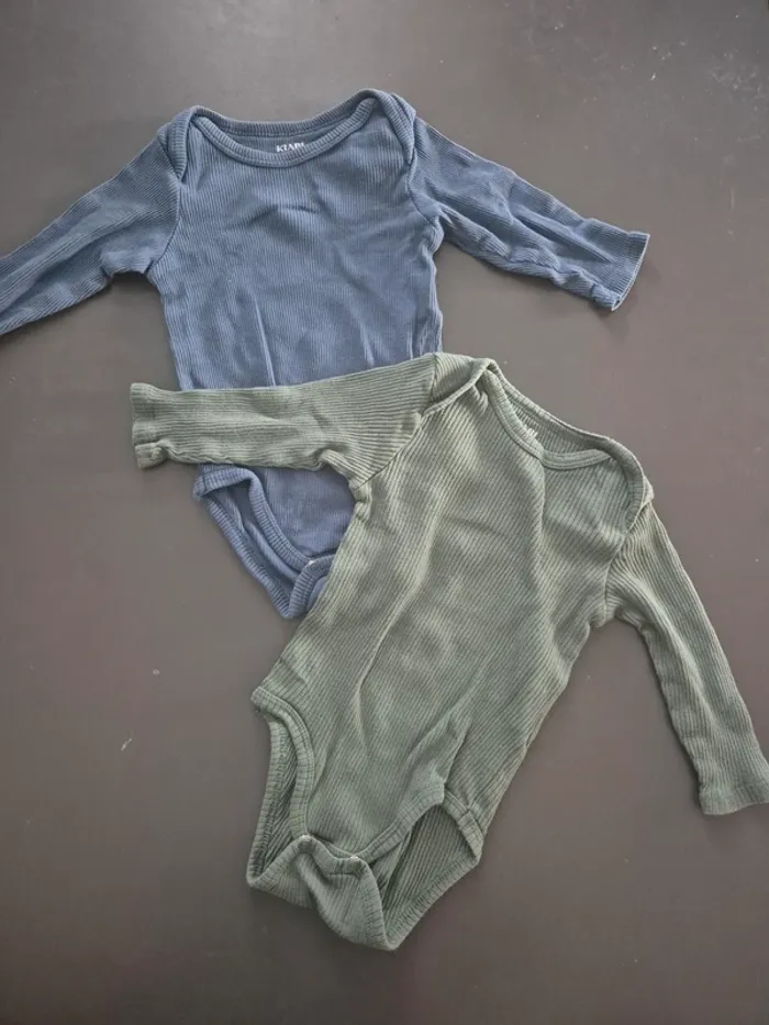 Bodies