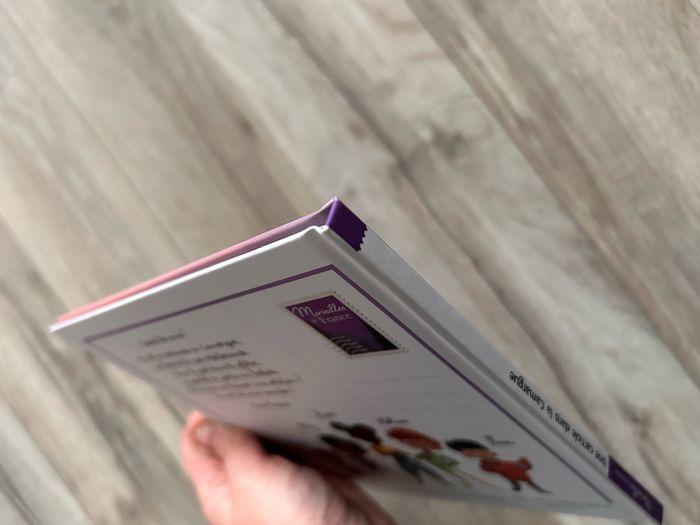 Une carriole dans la Camargue - photo numéro 5