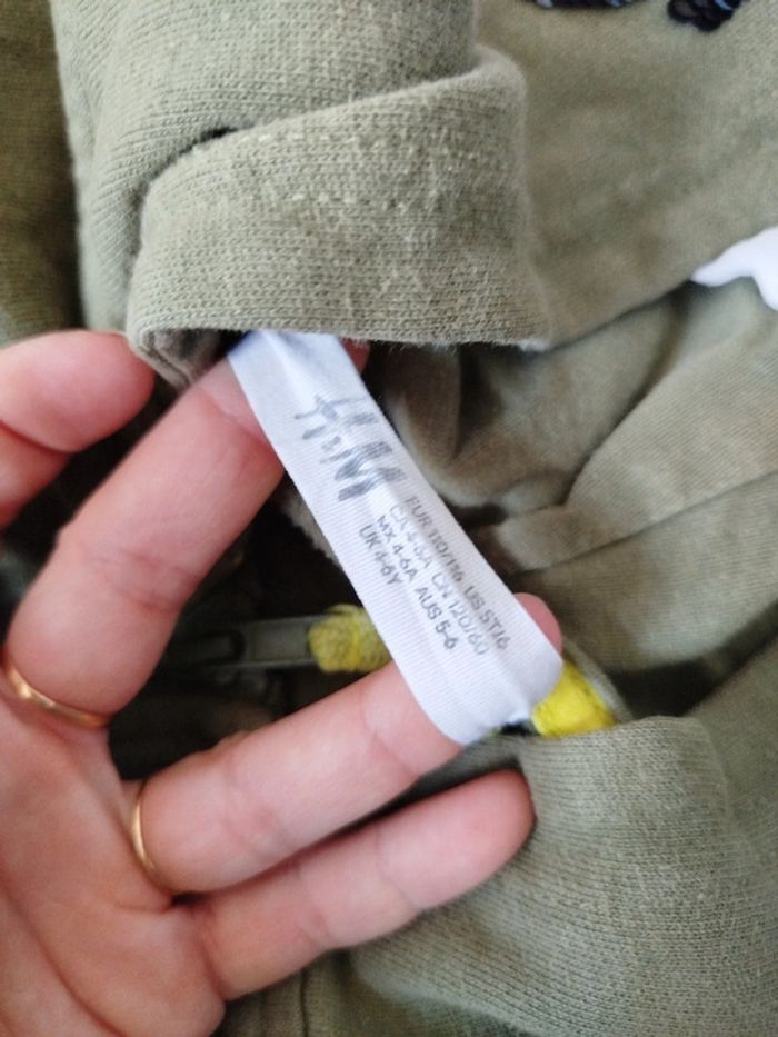 Veste a capuche h&m taille 4-6 ans dinosaure - photo numéro 5