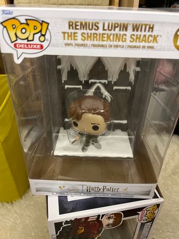Pop Harry Potter lupin et maison hantée