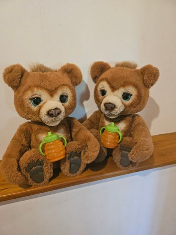 Ourson Cubby
