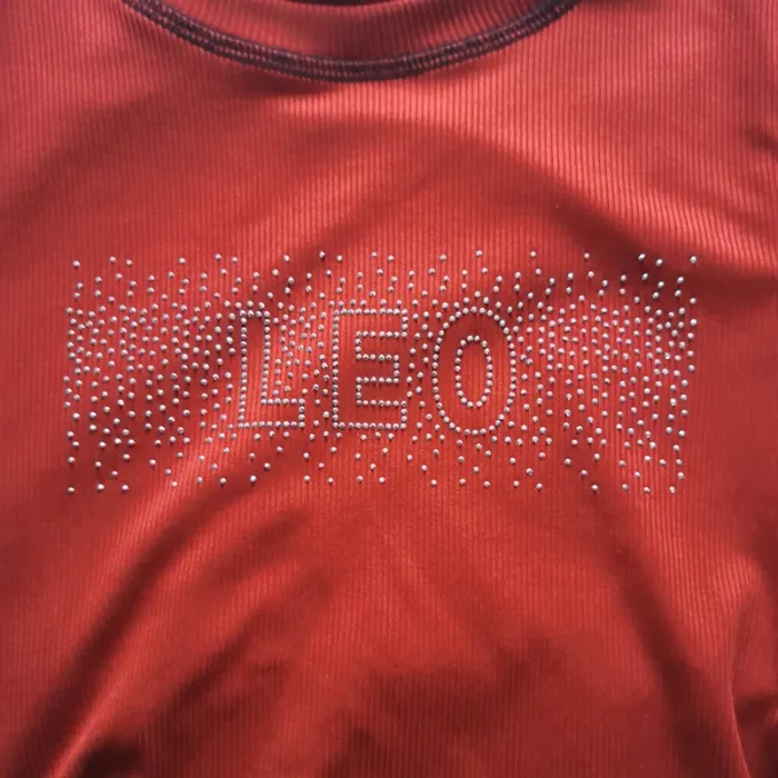 T-shirt Leo - photo numéro 2
