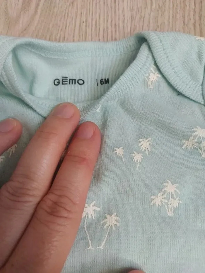 Bodies palmier - photo numéro 3