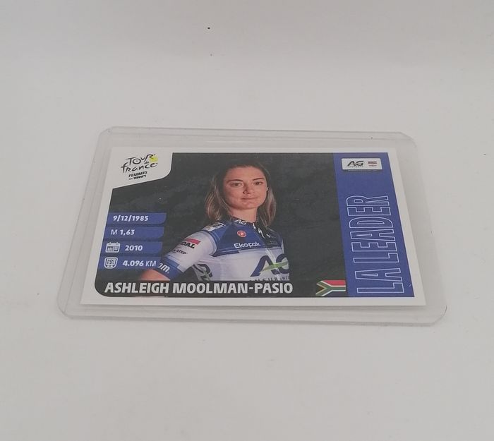 Panini Tour de France 2023 sticker N° 356.