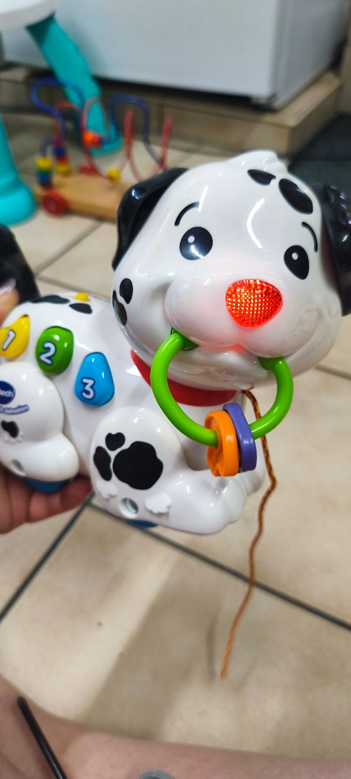 Chien a tirer - photo numéro 3