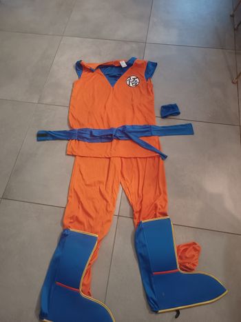 Costume Dragon Ball Z