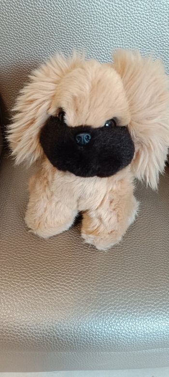 Peluche pékinois aux nations