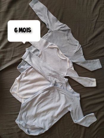 Lot de Bodies
