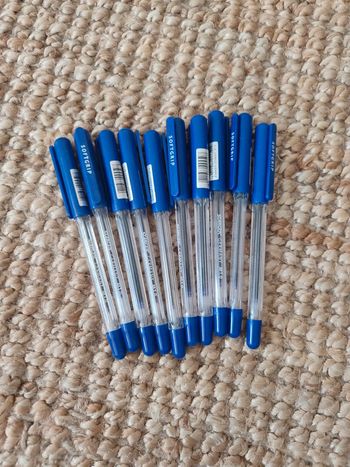10 stylos à bille bleus