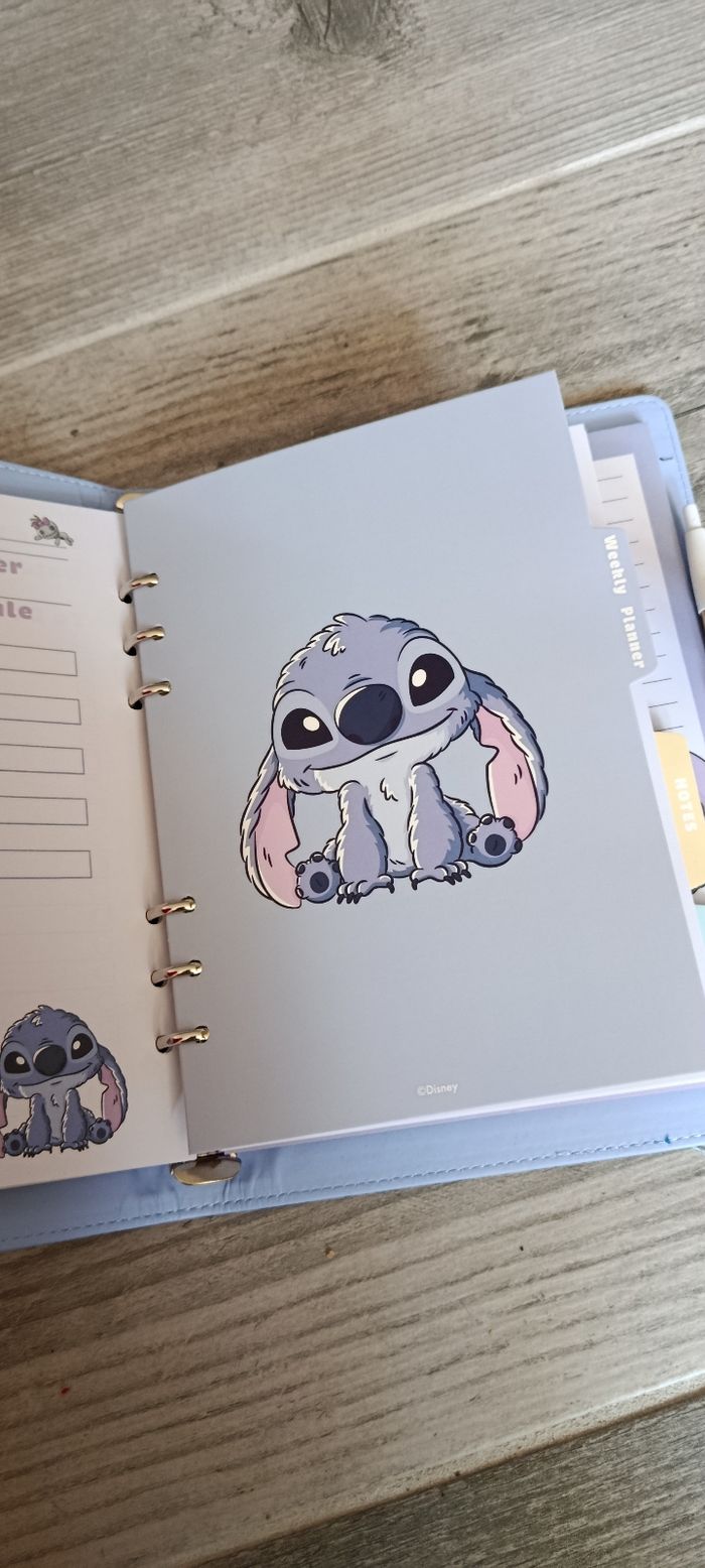 stitch - photo numéro 6