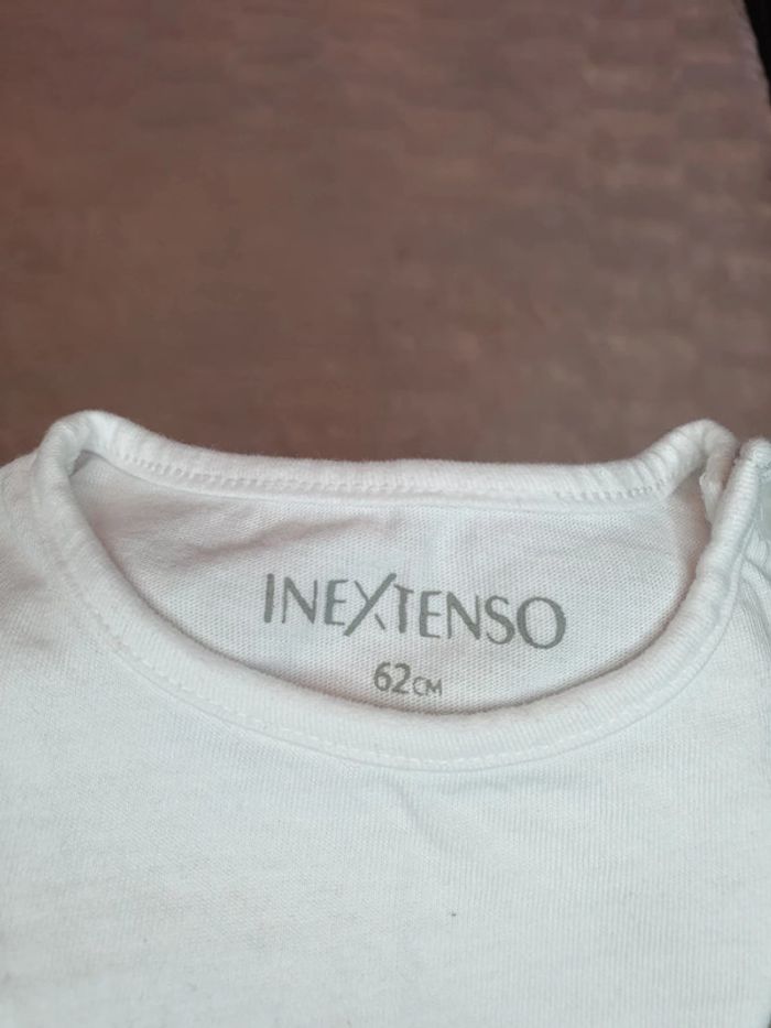 Lot 3 Tee-shirts manches courtes 3mois - photo numéro 4