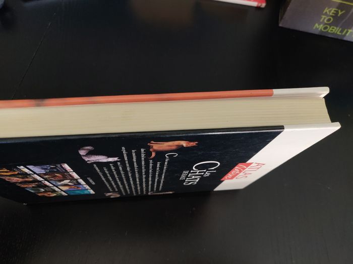 Livre 238 pages - Les chats de Race - photo numéro 10
