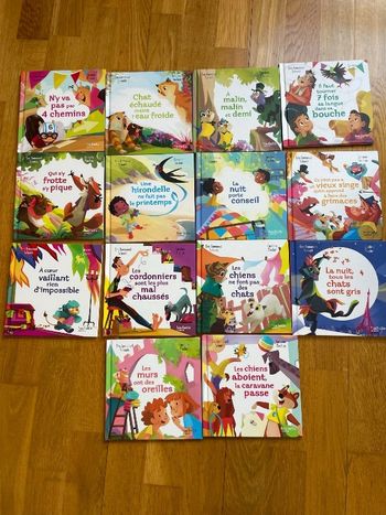 Lot 14 livres expressions française