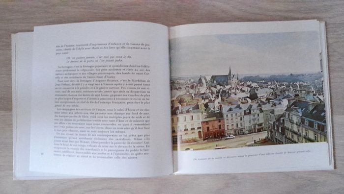 Vannes Morbihan (56) Michel de galzain - photo numéro 9