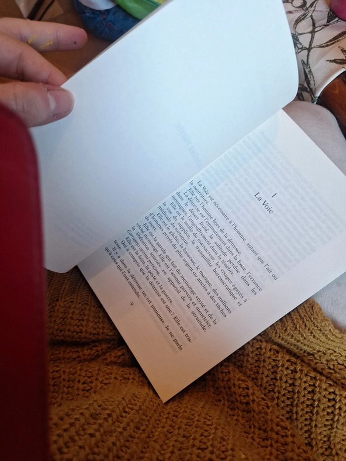 La voie le livre - photo numéro 7