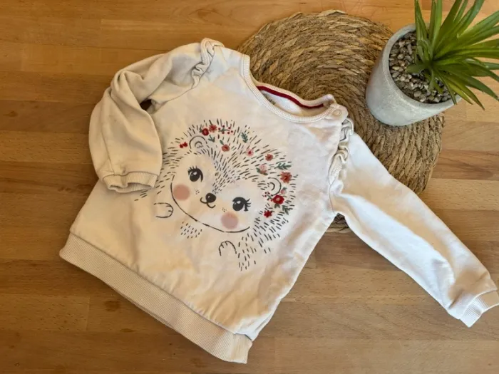 Pull hérisson