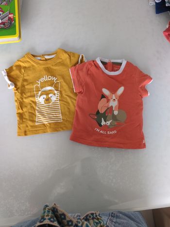 Lot de 2 tee shirts